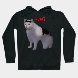 Huh Cat Meme Hoodie